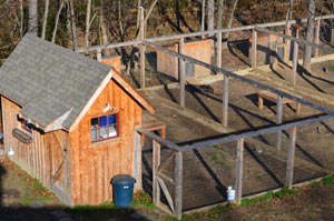 Whispering Creek Boerboels in Virginia has over 5,000 sq ft of kennel space